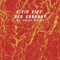 Пиво Vivid Vibe: Red Currant