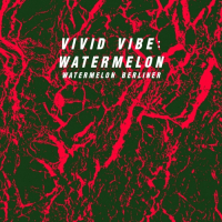 Пиво Vivid Vibe: Watermelon