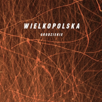 Пиво Wielkopolska