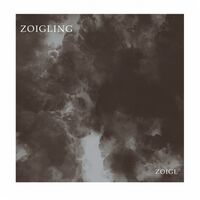 Пиво Zoigling Пиво Zoigling