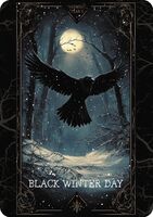 Пиво Black Winter Day