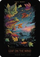 Пиво Leaf On the Wind