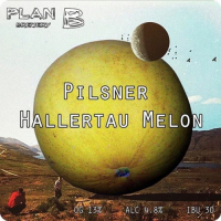 Пиво Pilsner Hallertau Melon