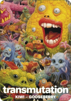 Пиво Transmutation (Kiwi + Gooseberry)