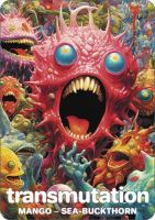 Пиво Transmutation (Mango + Sea Buckthorn)
