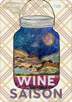 Пиво Wine Saison