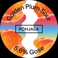 Пиво Golden Plum Sour