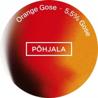 Пиво Orange Gose