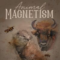 Пиво Animal Magnetism
