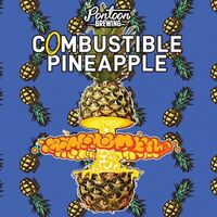 Пиво Combustible Pineapple