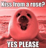 Пиво Kissed By A Rose