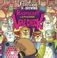 Пиво Raspberry Lemonade Vibe Check