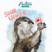 Пиво Sour Flower