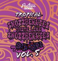 Пиво Tropical Snozzberries Taste Like Snozzberries Vol. 5