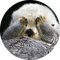 Пиво Turn Down For Puft Oatmeal Creme Stout Пиво Turn Down For Puft Oatmeal Creme Stout