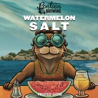 Пиво Watermelon Salt Пиво Watermelon Salt