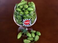 Пиво Fresh Hop Pale Ale 2023 Пиво Fresh Hop Pale Ale 2023