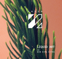 Пиво Liquid Art Пиво Liquid Art