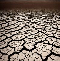 Пиво Drought Пиво Drought