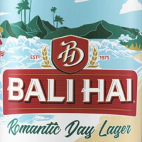 Пиво Romantic Day Lager