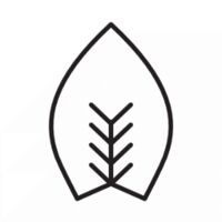 Пиво Subtopia Smoothie