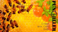 Пиво Cyser: Wax Caps Пиво Cyser: Wax Caps