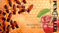 Пиво Melomel: Buckwheat Honey and Cherry #2 Пиво Melomel: Buckwheat Honey and Cherry #2
