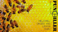 Пиво Melomel: Ginger And Lemon #2 Пиво Melomel: Ginger And Lemon #2