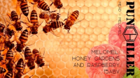 Пиво Melomel: Honey Gardens And Raspberry Пиво Melomel: Honey Gardens And Raspberry