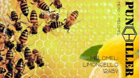 Пиво Melomel: Limoncello