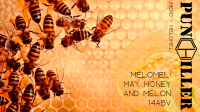 Пиво Melomel: May Honey And Melon Пиво Melomel: May Honey And Melon