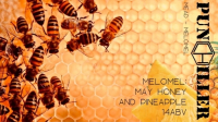 Пиво Melomel: May Honey And Pineapple Пиво Melomel: May Honey And Pineapple
