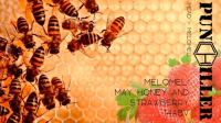 Пиво Melomel: May Honey And Strawberry