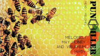 Пиво Melomel: May Honey And Viburnum Пиво Melomel: May Honey And Viburnum