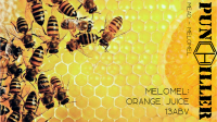 Пиво Melomel: Orange Juice Пиво Melomel: Orange Juice