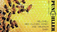 Пиво Melomel: Red Clover Honey and Viburnum