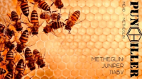 Пиво Metheglin: Juniper Пиво Metheglin: Juniper