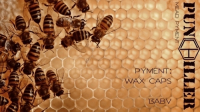 Пиво Pyment: Wax Caps #2 Пиво Pyment: Wax Caps #2