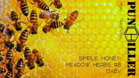 Пиво Simple Honey: Meadow Herbs #8