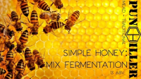 Пиво Simple Honey: Mix Fermentation Пиво Simple Honey: Mix Fermentation