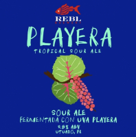 Пиво PLAYERA Tropical Sour Ale Пиво PLAYERA Tropical Sour Ale
