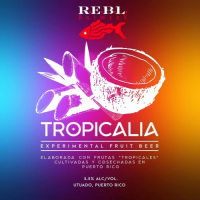 Пиво TROPICALIA - Coco & Cana De Azúcar Пиво TROPICALIA - Coco & Cana De Azúcar