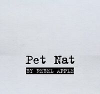 Пиво Pet Nat by Rebel Apple