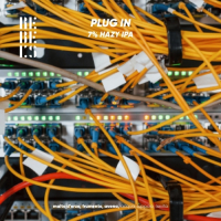 Пиво Plug In Пиво Plug In