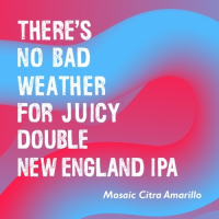 Пиво There's No Bad Weather For Juicy Double New England IPA (Mosaic Citra Amarillo)
