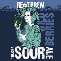 Пиво Toloka Wild Berries Sour Ale