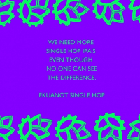 Пиво We Need More Single Hop IPA's Even Though No One Can See the Difference. Ekuanot Single Hop NEIPA