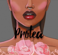 Пиво Protea