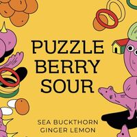 Пиво Puzzleberry Sour (Sea Buckthorn X Ginger & Lemon)