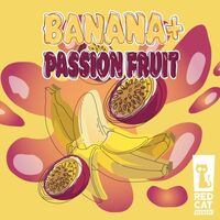 Пиво Banana+passion Fruit Пиво Banana+passion Fruit